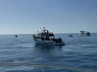 Great day of scuba diving in Key Largo with Rainbow Reef on nine channel tropical odyssey 2024 11 15 r16904 1