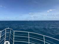 Great day of scuba diving in Key Largo with Rainbow Reef on north star tropical odyssey 2024 11 09 r16839 1