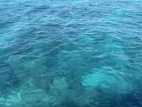 Great day of scuba diving in Key Largo with Rainbow Reef on pickle barrel wreck tropical destiny 2024 11 26 r16979 1