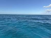 Great day of scuba diving in Key Largo with Rainbow Reef on pickles reef tropical odyssey 2024 11 26 r16986 1