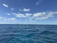 Great day of scuba diving in Key Largo with Rainbow Reef on sand bottom cave tropical odyssey 2024 11 27 r16993 1