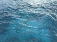 Great day of scuba diving in Key Largo with Rainbow Reef on snapper ledge tropical destiny 2024 11 11 r16860 1