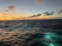 Great day of scuba diving in Key Largo with Rainbow Reef on snapper ledge tropical destiny 2024 11 12 r16890 1
