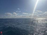 Great day of scuba diving in Key Largo with Rainbow Reef on snapper ledge tropical destiny 2024 11 26 r16977 1