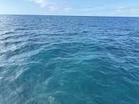 Great day of scuba diving in Key Largo with Rainbow Reef on snapper ledge tropical legend 2024 11 29 r17008 1