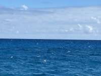 Great day of scuba diving in Key Largo with Rainbow Reef on snapper ledge tropical odyssey 2024 11 12 r16886 1