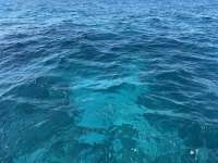 Great day of scuba diving in Key Largo with Rainbow Reef on snapper ledge tropical odyssey 2024 11 26 r16981 1