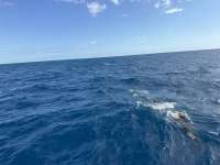 Great day of scuba diving in Key Largo with Rainbow Reef on spiegel grove tropical odyssey 2024 11 16 r16907 1