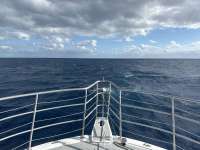 Great day of scuba diving in Key Largo with Rainbow Reef on spiegel grove tropical odyssey 2024 11 17 r16915 1