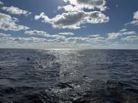 Great day of scuba diving in Key Largo with Rainbow Reef on spiegel grove tropical odyssey 2024 11 27 r16990 1