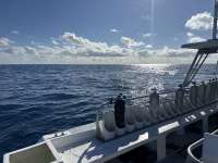 Great day of scuba diving in Key Largo with Rainbow Reef on spiegel grove tropical odyssey 2024 11 28 r17001 1