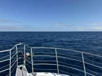 Great day of scuba diving in Key Largo with Rainbow Reef on spiegel grove tropical odyssey 2024 11 29 r17005 1