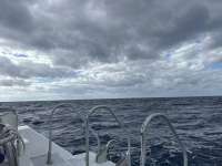 Great day of scuba diving in Key Largo with Rainbow Reef on uscgc duane tropical destiny 2024 11 17 r16916 1