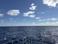 Great day of scuba diving in Key Largo with Rainbow Reef on uscgc duane tropical destiny 2024 11 27 r16992 1