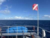 Great day of scuba diving in Key Largo with Rainbow Reef on uscgc duane tropical odyssey 2024 11 12 r16866 1