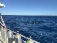 Great day of scuba diving in Key Largo with Rainbow Reef on uscgc duane tropical odyssey 2024 11 23 r16943 1