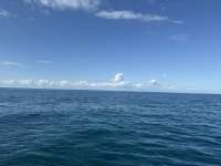 Great day of scuba diving in Key Largo with Rainbow Reef on wellwood tropical legend 2024 11 29 r17015 1