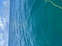 Great day of scuba diving in Key Largo with Rainbow Reef on benwood wreck tropical destiny 2024 10 01 r16630 2