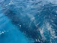 Great day of scuba diving in Key Largo with Rainbow Reef on benwood wreck tropical destiny 2024 10 24 r16773 1