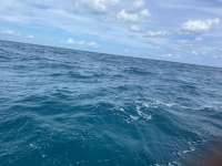 Great day of scuba diving in Key Largo with Rainbow Reef on benwood wreck tropical odyssey 2024 10 26 r16794 2