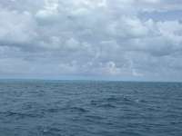 Great day of scuba diving in Key Largo with Rainbow Reef on benwood wreck tropical odyssey 2024 10 28 r16808 1