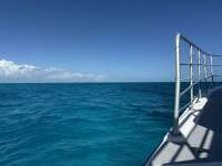 Great day of scuba diving in Key Largo with Rainbow Reef on conch ledge tropical odyssey 2024 10 23 r16768 1
