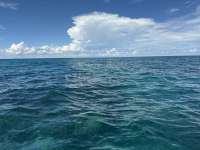 Great day of scuba diving in Key Largo with Rainbow Reef on double north tropical odyssey 2024 10 04 r16653 1