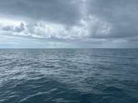 Great day of scuba diving in Key Largo with Rainbow Reef on elbow reef tropical serenity 2024 10 05 r16670 1
