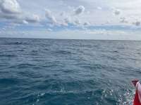 Great day of scuba diving in Key Largo with Rainbow Reef on french reef tropical odyssey 2024 10 26 r16798 1