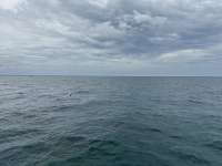 Great day of scuba diving in Key Largo with Rainbow Reef on grecian rocks tropical serenity 2024 10 15 r16718 1