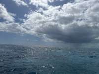 Great day of scuba diving in Key Largo with Rainbow Reef on molasses reef tropical destiny 2024 10 20 r16751 1