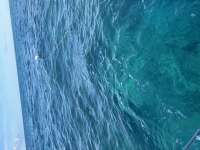 Great day of scuba diving in Key Largo with Rainbow Reef on molasses reef tropical destiny 2024 10 26 r16788 1