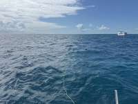 Great day of scuba diving in Key Largo with Rainbow Reef on molasses reef tropical odyssey 2024 10 24 r16774 1
