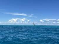Great day of scuba diving in Key Largo with Rainbow Reef on nine channel tropical destiny 2024 10 01 r16632 1
