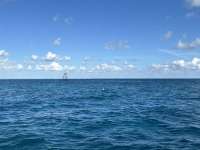 Great day of scuba diving in Key Largo with Rainbow Reef on nine channel tropical destiny 2024 10 26 r16790 1