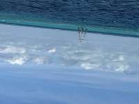 Great day of scuba diving in Key Largo with Rainbow Reef on nine channel tropical odyssey 2024 10 27 r16802 1