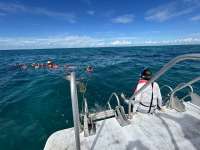 Great day of scuba diving in Key Largo with Rainbow Reef on pickle barrel wreck tropical serenity 2024 10 04 r16648 3