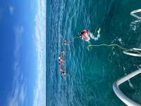 Great day of scuba diving in Key Largo with Rainbow Reef on pickle barrel wreck tropical serenity 2024 10 04 r16650 2