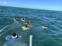 Great day of scuba diving in Key Largo with Rainbow Reef on pickles reef tropical odyssey 2024 10 25 r16781 1