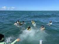 Great day of scuba diving in Key Largo with Rainbow Reef on pickles reef tropical odyssey 2024 10 25 r16782 2