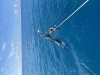 Great day of scuba diving in Key Largo with Rainbow Reef on spiegel grove tropical destiny 2024 10 01 r16627 1