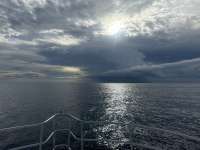 Great day of scuba diving in Key Largo with Rainbow Reef on spiegel grove tropical destiny 2024 10 16 r16738 1