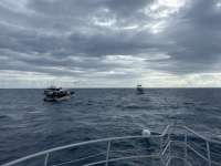 Great day of scuba diving in Key Largo with Rainbow Reef on spiegel grove tropical odyssey 2024 10 05 r16663 1