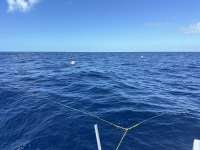 Great day of scuba diving in Key Largo with Rainbow Reef on spiegel grove tropical odyssey 2024 10 23 r16767 1