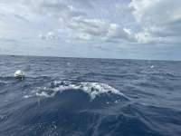 Great day of scuba diving in Key Largo with Rainbow Reef on spiegel grove tropical odyssey 2024 10 28 r16807 1