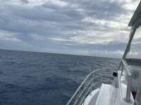 Great day of scuba diving in Key Largo with Rainbow Reef on spiegel grove tropical odyssey 2024 10 29 r16814 1