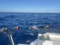 Great day of scuba diving in Key Largo with Rainbow Reef on uscgc bibb tropical odyssey 2024 10 23 r16765 1