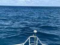Great day of scuba diving in Key Largo with Rainbow Reef on uscgc bibb tropical serenity 2024 10 04 r16657 1