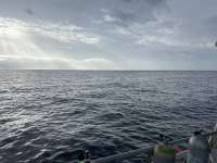 Great day of scuba diving in Key Largo with Rainbow Reef on uscgc duane tropical odyssey 2024 10 16 r16739 1