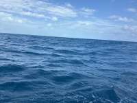 Great day of scuba diving in Key Largo with Rainbow Reef on woodys tropical odyssey 2024 10 29 r16815 1